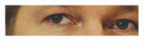 Julian Assange